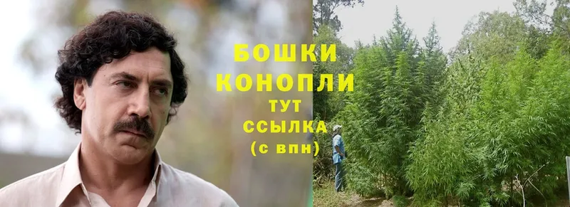 как найти закладки  Сосновка  мега вход  Канабис Ganja 